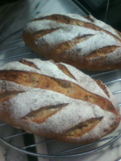 IMG_001689.jpg ( 27 KB ) by Upload