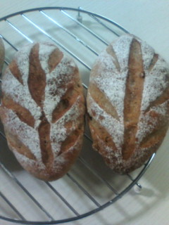 IMG_001692.jpg ( 29 KB ) by Upload