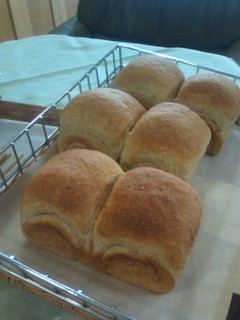 IMG_001694.jpg ( 25 KB ) by Upload