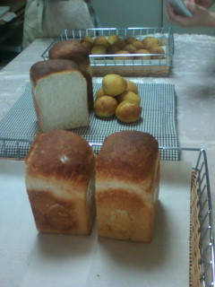 IMG_001697.jpg ( 27 KB ) by Upload