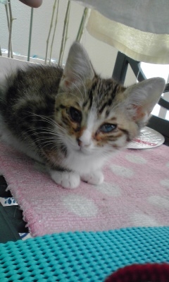 IMG_001924.jpg ( 69 KB ) by Upload